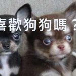 貝克漢寵物生活館