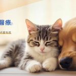 延平動物診所