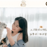 伴寵日寵物生活館